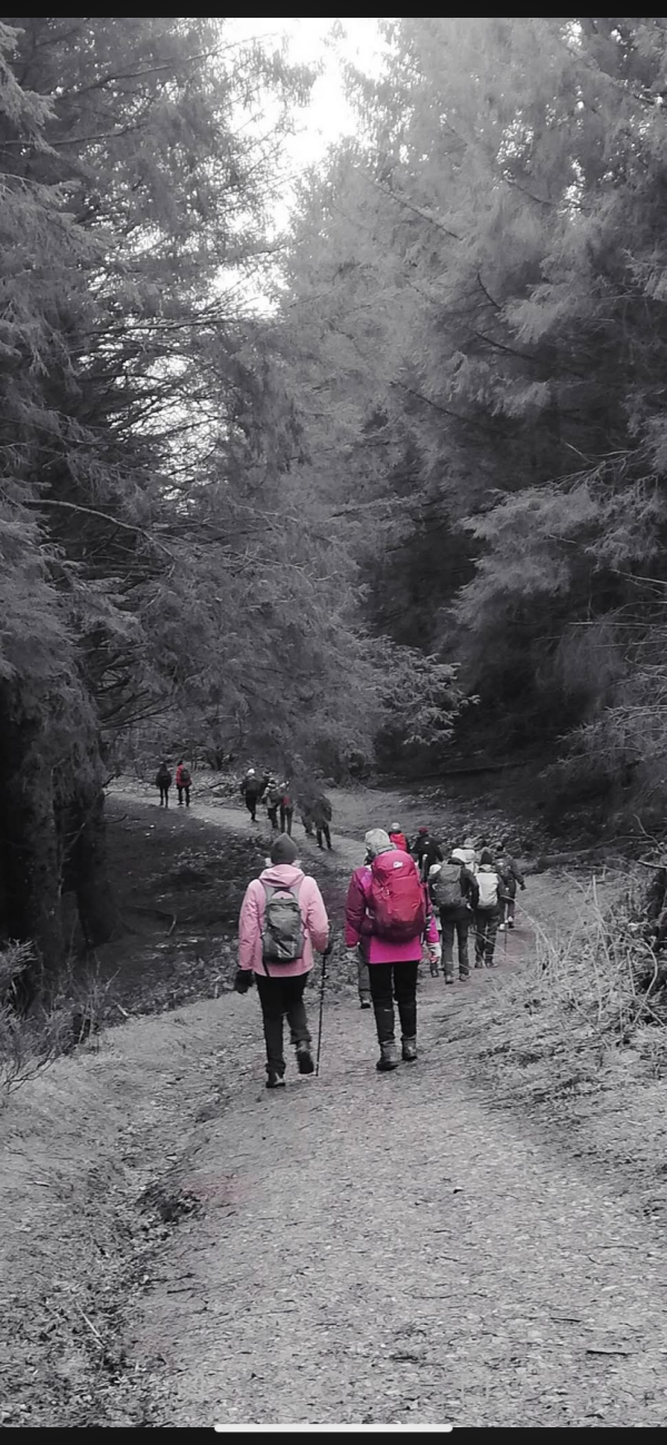 pink ladies - volunteers